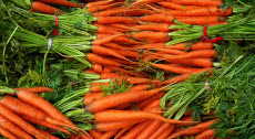 fresh-carrots-220