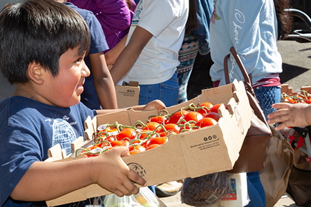 Groceries and Fresh Produce