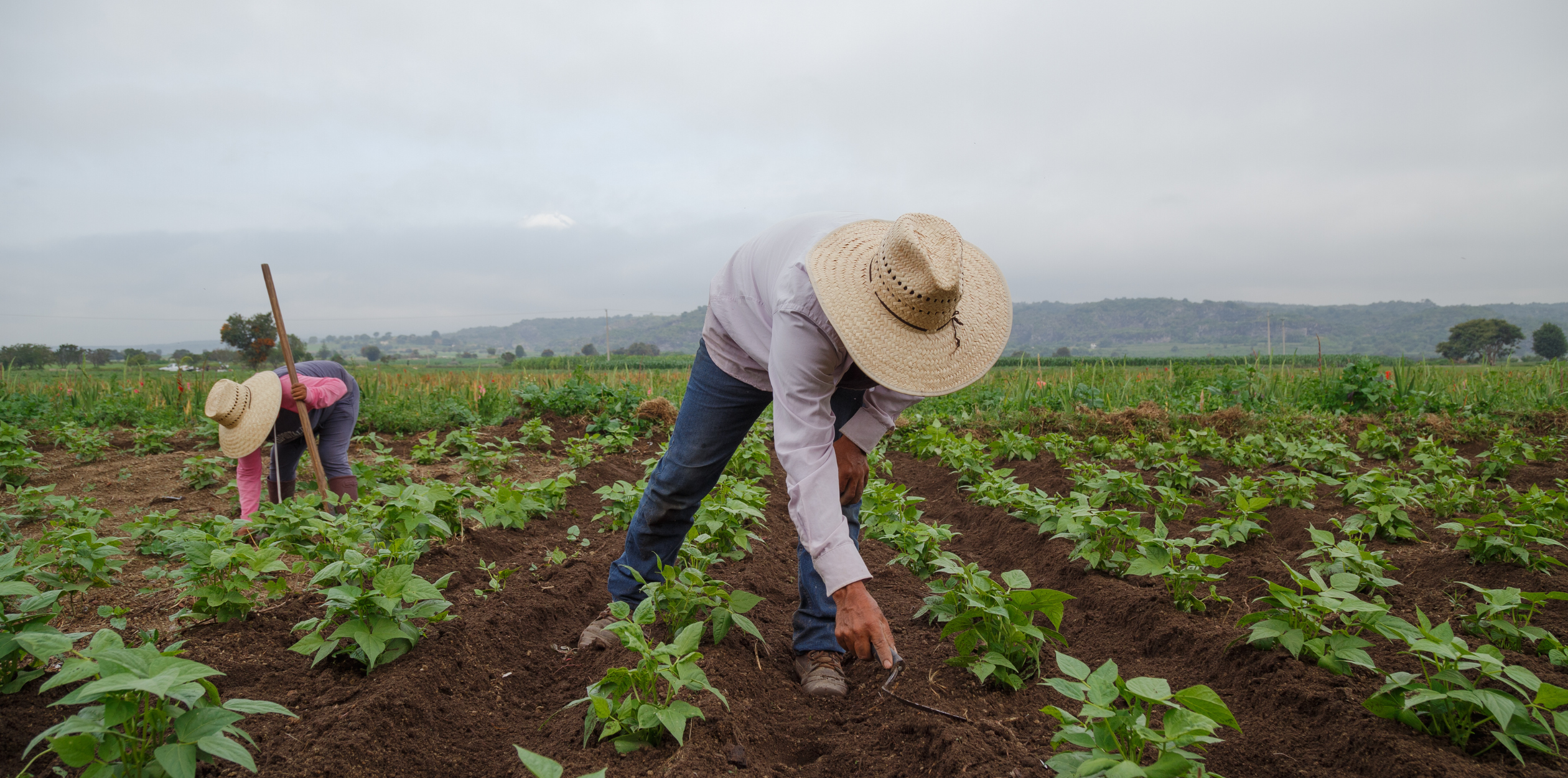 Agricultores con Buena Salud